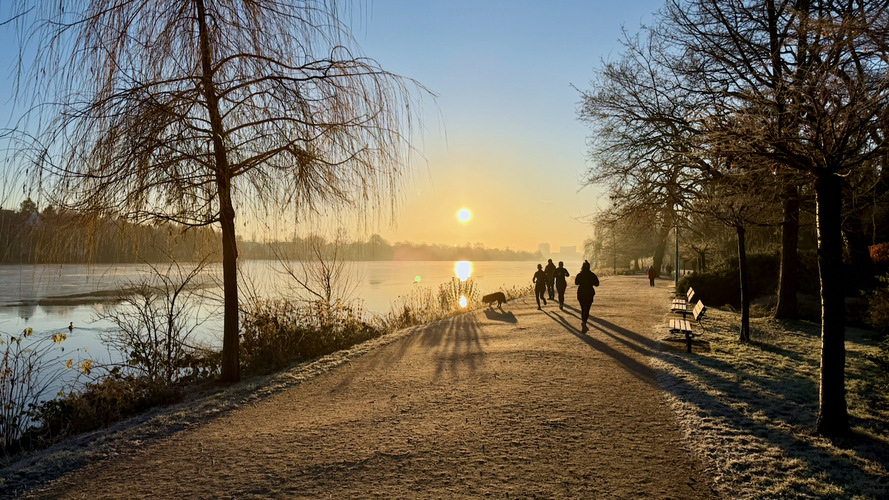 Alster.jpeg