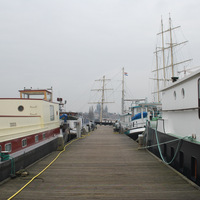 DSC_5545.JPG