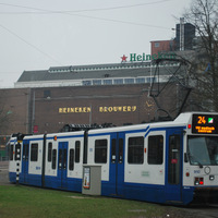 DSC_5552.JPG