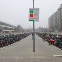 DSC_5458.JPG
