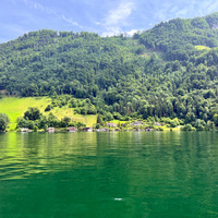 IMG_2949.jpg