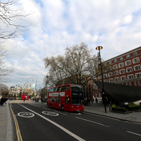 IMG_4187.JPG
