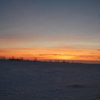 DSC_4685.JPG