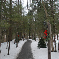 DSC_4732.JPG
