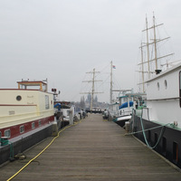 DSC_5545.JPG