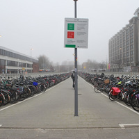 DSC_5458.JPG