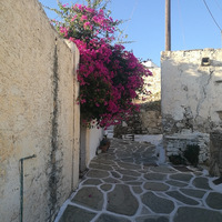 sikinos-2018_29872513868_o.jpg