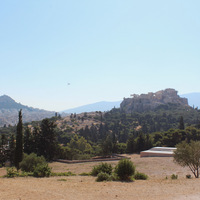 IMG_1908.jpeg