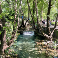 IMG_2645.jpeg