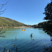 IMG_4089.jpeg
