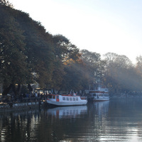 DSC_8764.jpeg