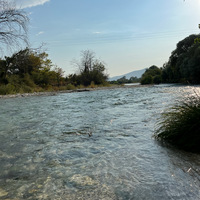 IMG_1730.jpeg