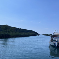 IMG_1935.jpeg