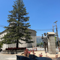 IMG_3288.jpeg