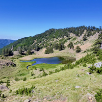 IMG_4841.jpeg