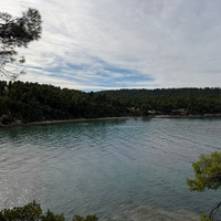 IMG_3634.jpeg