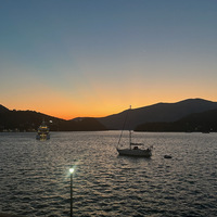 IMG_1806.jpeg