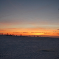 DSC_4685.JPG