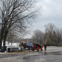 DSC_4720.JPG