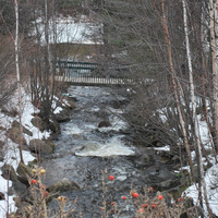 DSC_4739.JPG