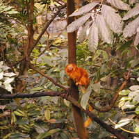 DSC_4975.JPG