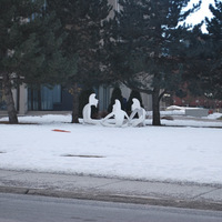 DSC_5156.JPG