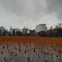 img_20200115_102116.jpg
